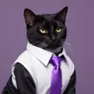 El gato de PepoTech con camisa y corbata morada